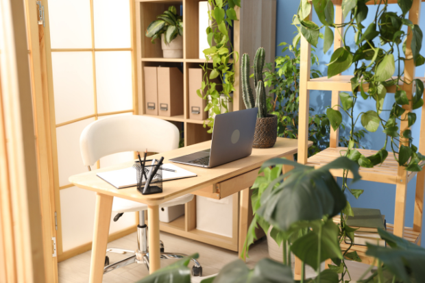 Cahaya Matahari Sebagai Sumber Energi Utama