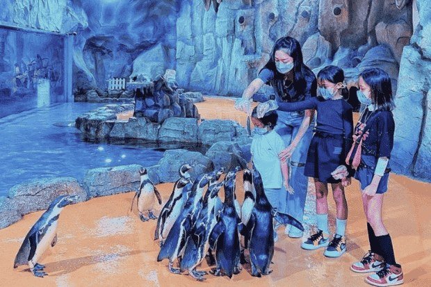 Aktivitas Seru untuk Keluarga dan Teman