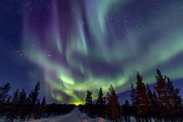 Dampak Aurora Borealis bagi Industri Pariwisata
