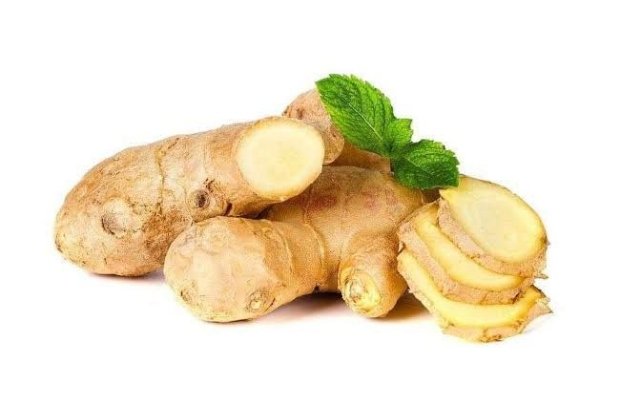 Khasiat Kencur dalam Menjaga Daya Tahan Tubuh