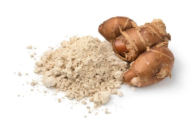 Khasiat Kencur untuk Menjaga Kenyamanan Tubuh