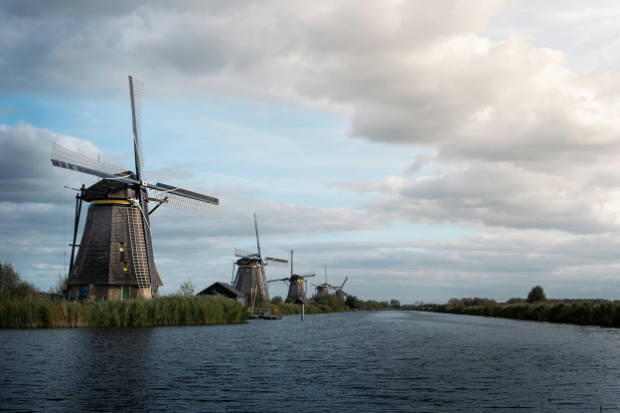 Langkah Krusial Menentukan Akar Kata