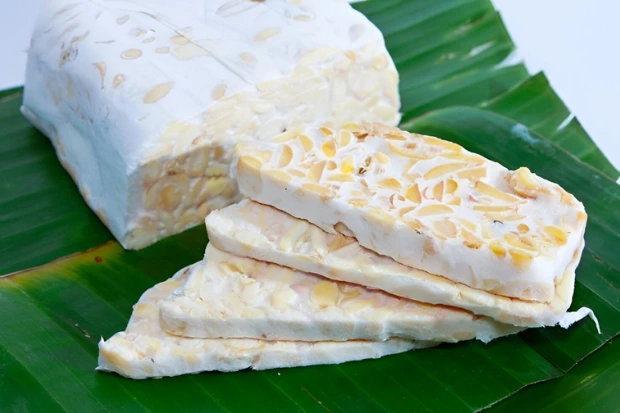 Nilai Gizi Tempe Mendoan