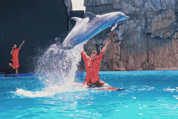 Sensasi Wisata Laut yang Dekat dan Nyata