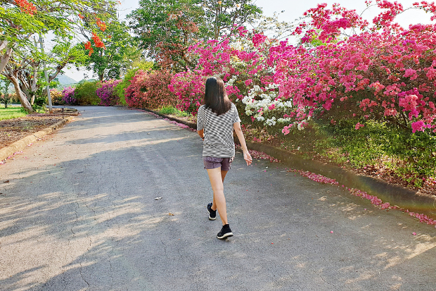 Stimulasi Sirkulasi Darah dan Peningkatan Fokus Instan