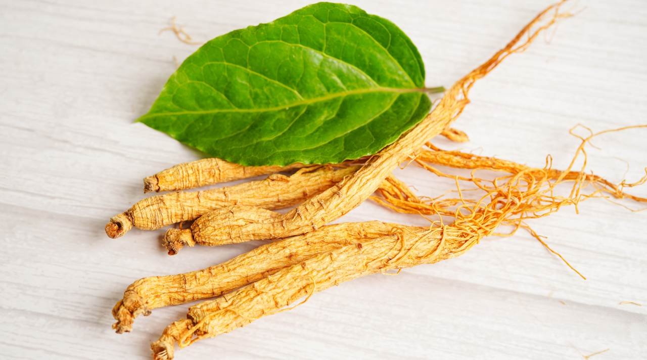 Ginseng Antara Khasiat Alami dan Persepsi Gaya Hidup Mahal