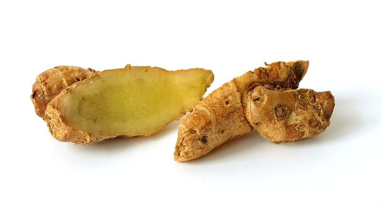 Khasiat Kencur untuk Menjaga Kesehatan dan Kebugaran Tubuh