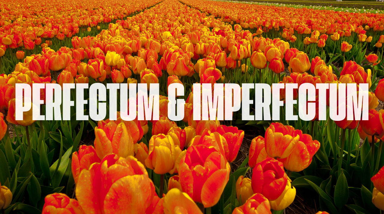 Mengenal Perfectum dan Imperfectum dalam Bahasa Belanda